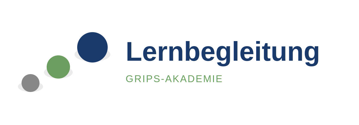Lernbegleitung – GRIPS-Akademie